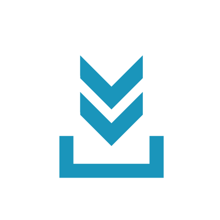Professional Services